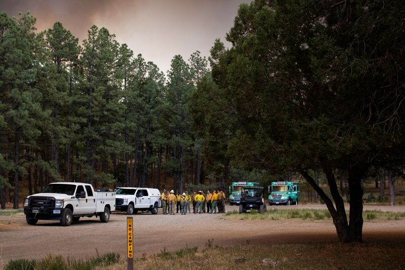 US Forest Service fires 3,400 workers, Park Service cuts 1,000