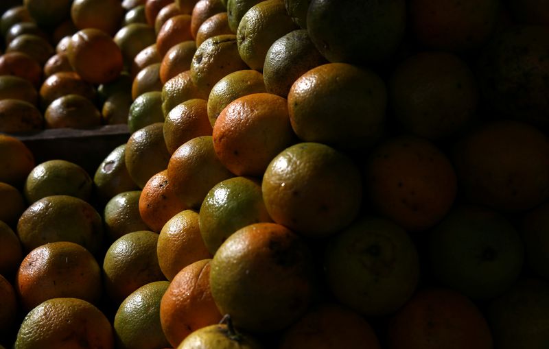 Estoques de suco de laranja do Brasil fecham 2024 em mínima histórica, diz CitrusBR