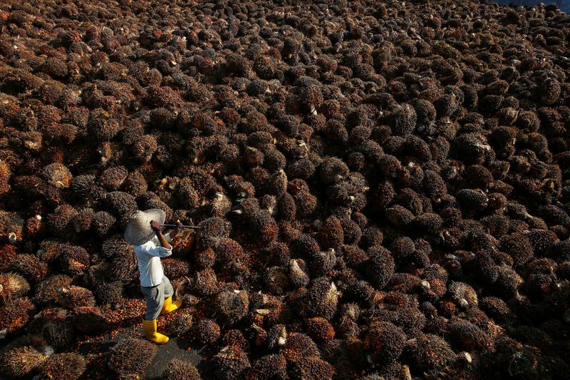 &copy; Reuters. Fruto da palma em fábrica em Kuala Lumpur