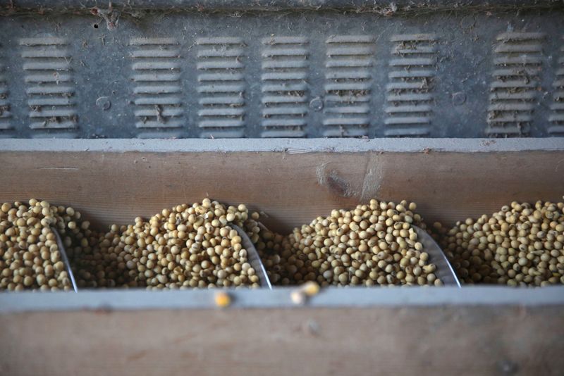 &copy; Reuters. Soja em fazenda no Illinois, EUA