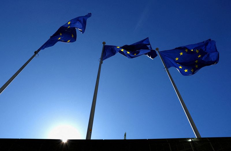 EU issues list of 'safe countries' for migrant returns that includes Egypt, Tunisia