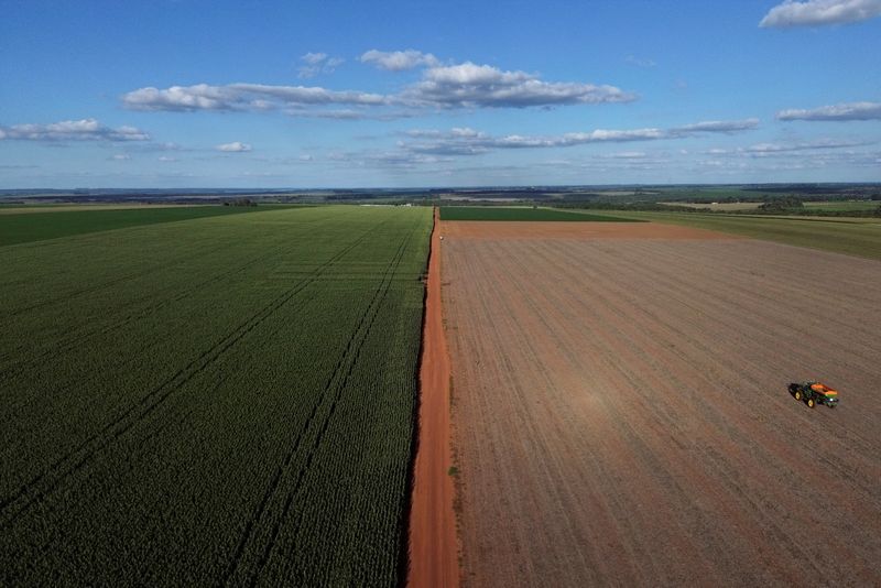 &copy; Reuters. Colheita de soja no Paraguai