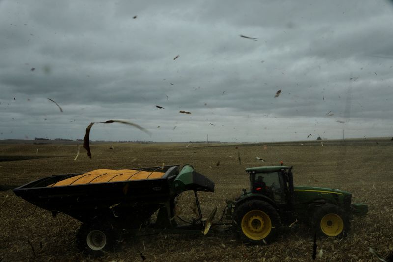 Black US farmers brace for impact amid tariffs turmoil