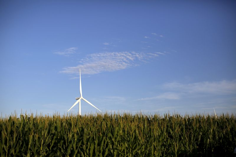 &copy; Reuters. Turbina eólica em campo de milho em Haverhill, Iowa, Estados Unidosn18/07/2015nREUTERS/Jim Young
