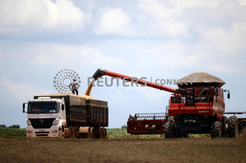 &copy; Reuters. Colheita de soja em fazenda de Luziânia, em Goiásn10/02/2023nREUTERS/Adriano Machado