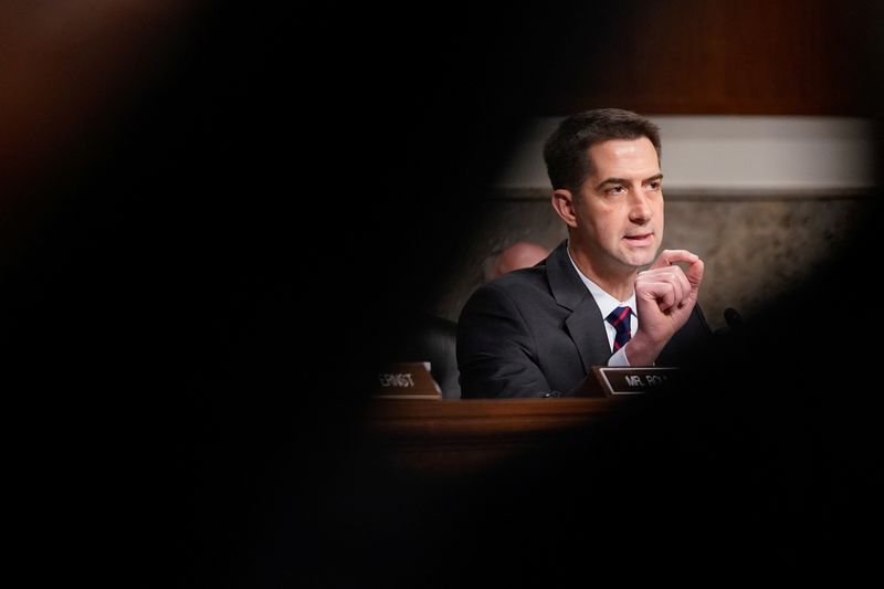 US senator says US intel should not help Germany monitor far-right party