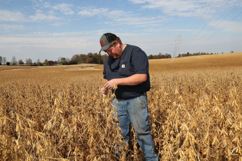 US farmers say Brazil keeps edge in China’s soy market despite trade truce