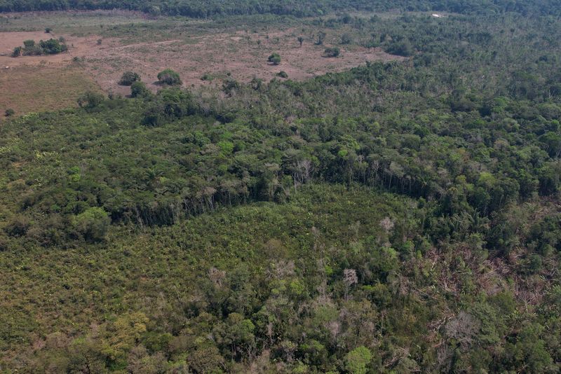 Analysis-US climate pullback threatens planned debt-for-nature deals