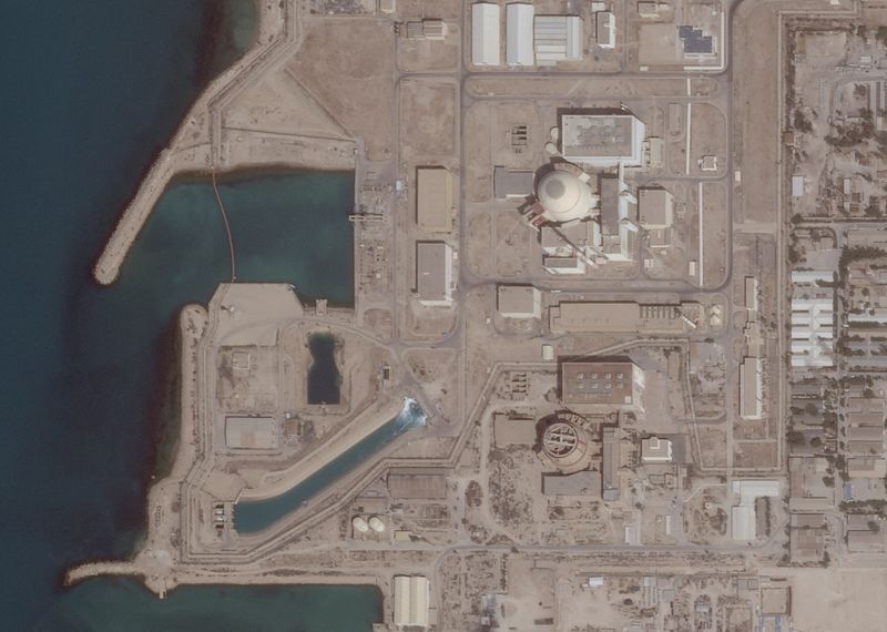 Situation at Iran's Bushehr nuclear plant is 'normal', Russian official says