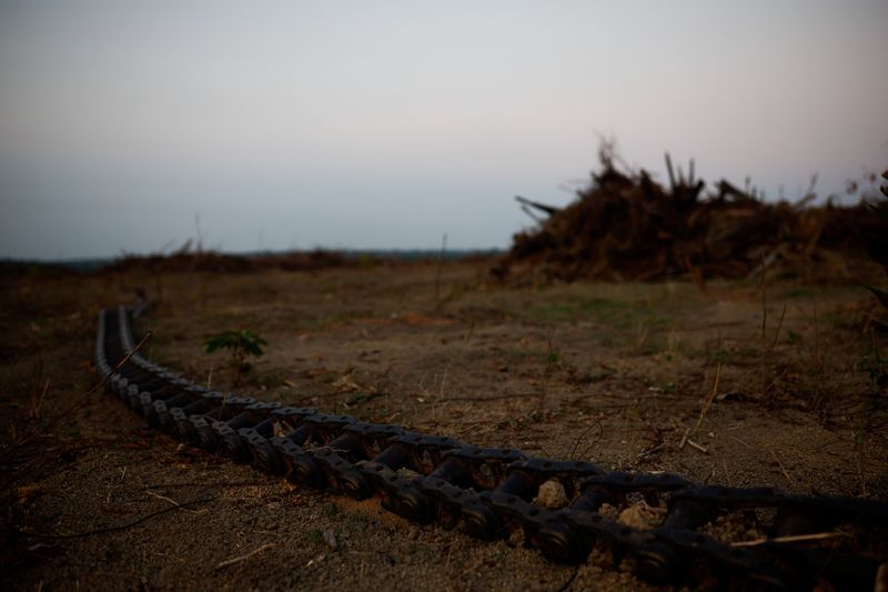 &copy; Reuters. Corrente, normalmente conectada a tratores para derrubar árvores, vista em um campo, enquanto o cultivo de soja se expande na Amazônia, em Santarémn6/10/2024nREUTERS/Amanda Perobelli