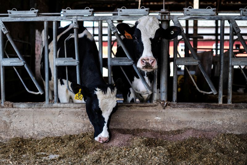 US AgTech capital drought continues, dairy and solar sectors offer bright spots