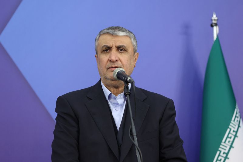 Iran is looking to restore its nuclear industry, Iran's nuclear chief says