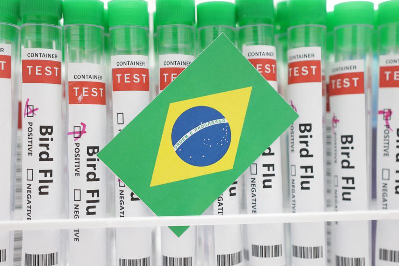 Which countries restrict Brazilian chicken imports over bird flu?