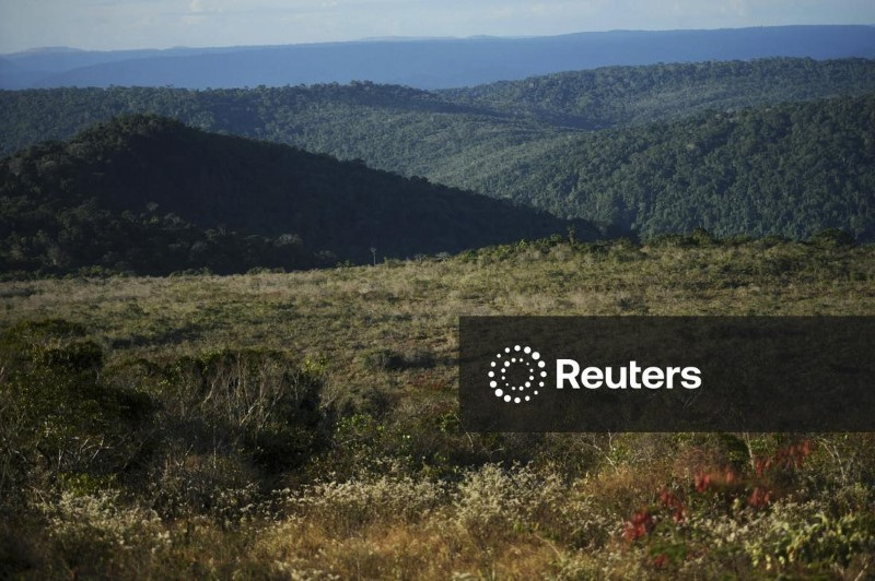 &copy; Reuters. Vista da Floresta Nacional de Carajás, onde a Vale tem suas operações no Sistema NortenREUTERS/Lunae Parracho