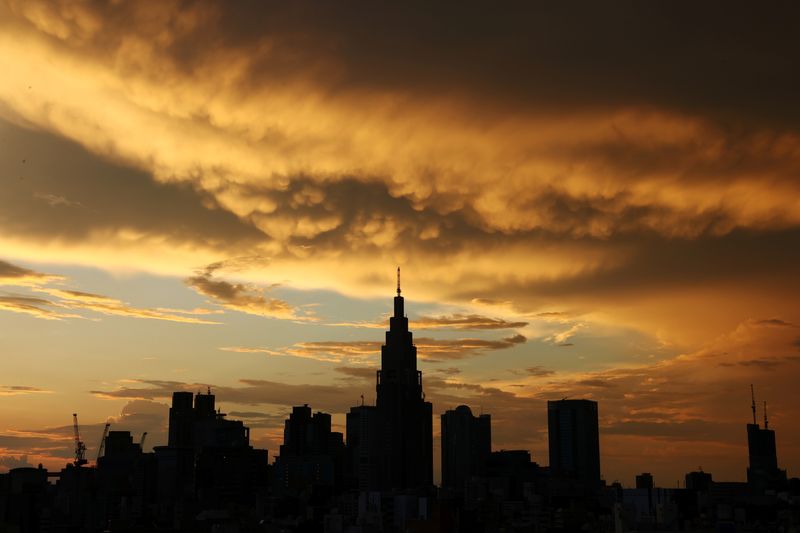 Japan's tax revenues likely hit record in fiscal 2024, Nikkei reports