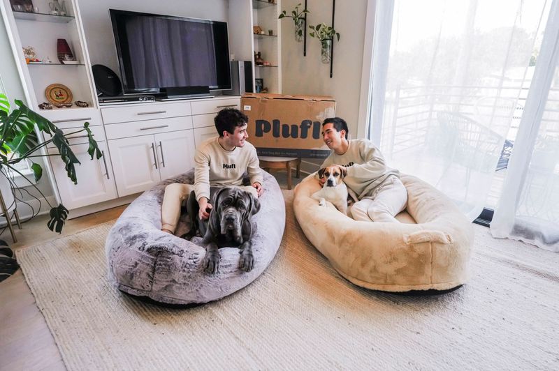 &copy; Reuters. Plufl founders Noah Silverman and Yuki Kinoshita pose with their China-made "human dog bed" in a store, in this undated handout photo at an unspecified location. Yukinori Kinoshita/Handout via REUTERS
