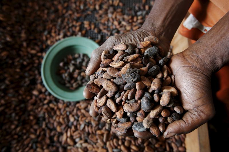 &copy; Reuters. Trabalhador segura grãos de cacau em uma empresa exportadora em San-Pedro, Costa do Marfimn29/01/2016nREUTERS/Thierry Gouegnon
