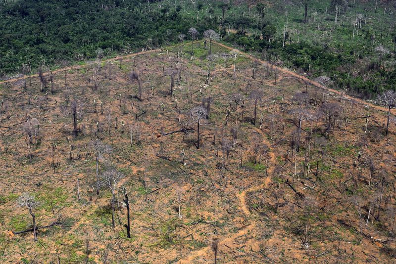 &copy; Reuters. Uma área desmatada durante uma operação de combate ao desmatamento realizada por agentes do Instituto Brasileiro do Meio Ambiente e dos Recursos Naturais Renováveis (IBAMA), perto de Porto Velho, Estado de Rondônia, Brasil, em 6 de fevereiro de 2025.