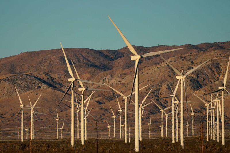 Trump executive order seeks end to wind and solar energy subsidies