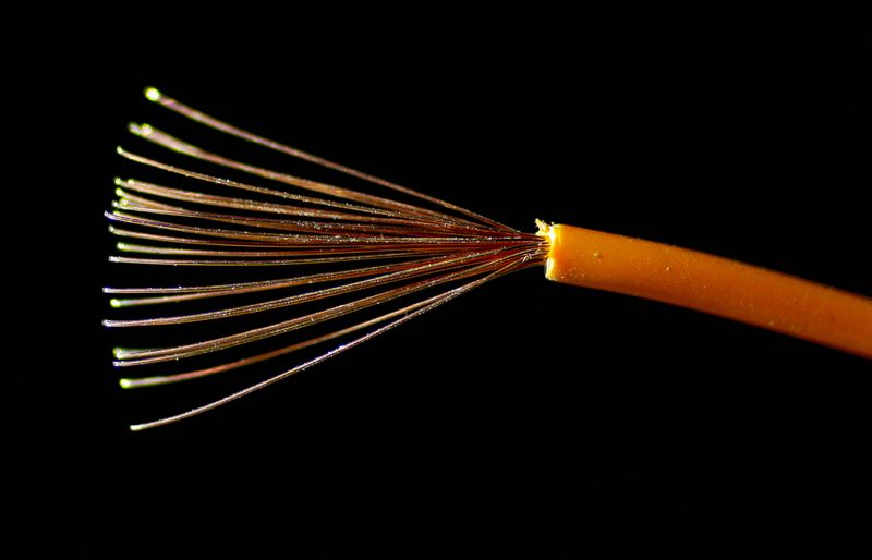 &copy; Reuters. FILE PHOTO: An electric copper wire is seen in this illustration picture, October 25, 2017. Picture taken October 25, 2017. REUTERS/Max Rossi/File Photo