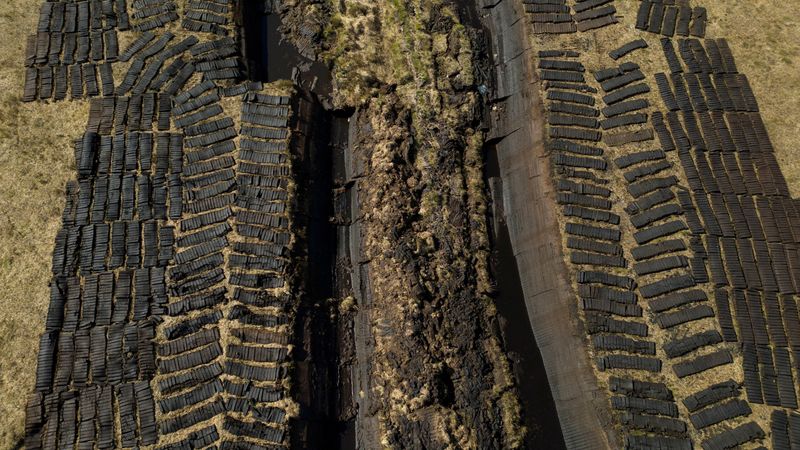 World risks up to $39 trillion in economic losses from vanishing wetlands, report says