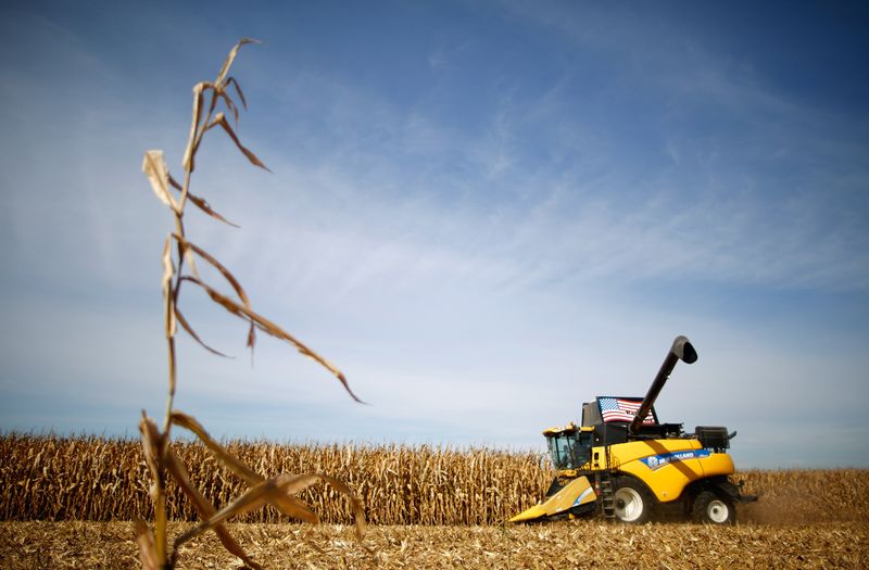 &copy; Reuters. Colheita de milho em Minooka, Illinoisn24/09/2014nREUTERS/Jim Young
