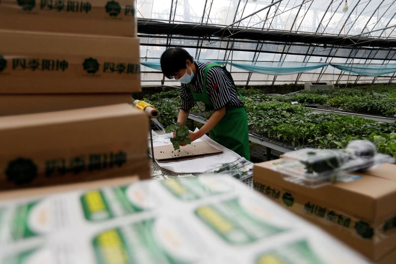 China announces plan to boost consumption of agricultural products