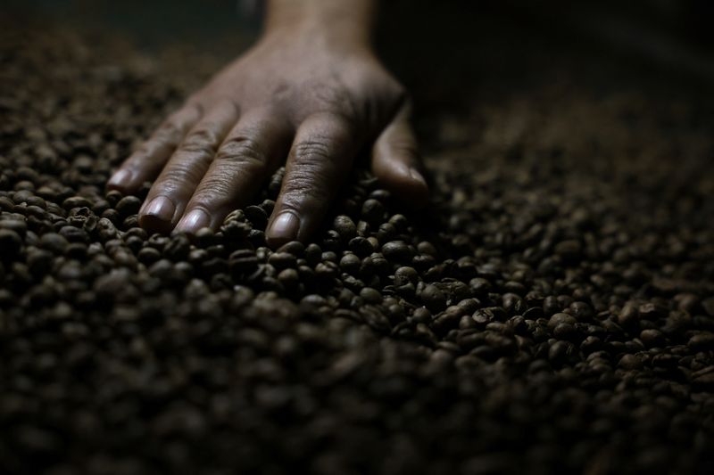 &copy; Reuters. Trabalhador verifica grãos de café torrados em uma fazenda perto de Brasília, Brasiln15/07/2025nREUTERS/Adriano Machado