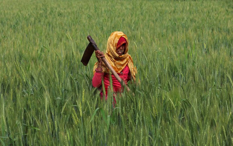 Why has India vowed to protect its farmers in the face of tariff threats?