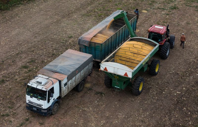 &copy; Reuters. A harvester loads harvested corn into a truck, in Marcos Juarez, Cordoba, Argentina April 20, 2024. REUTERS/Matias Baglietto/File photo