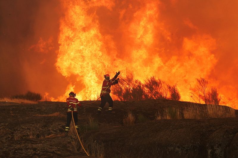 &copy; Reuters. Bombeiros trabalham para extinguir incêndio florestal que se aproxima de Trancoso, Portugaln13/08/2025nREUTERS/Pedro Nunes