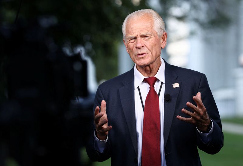 White House’s Navarro says pharma tariffs likely under Section 232 probe