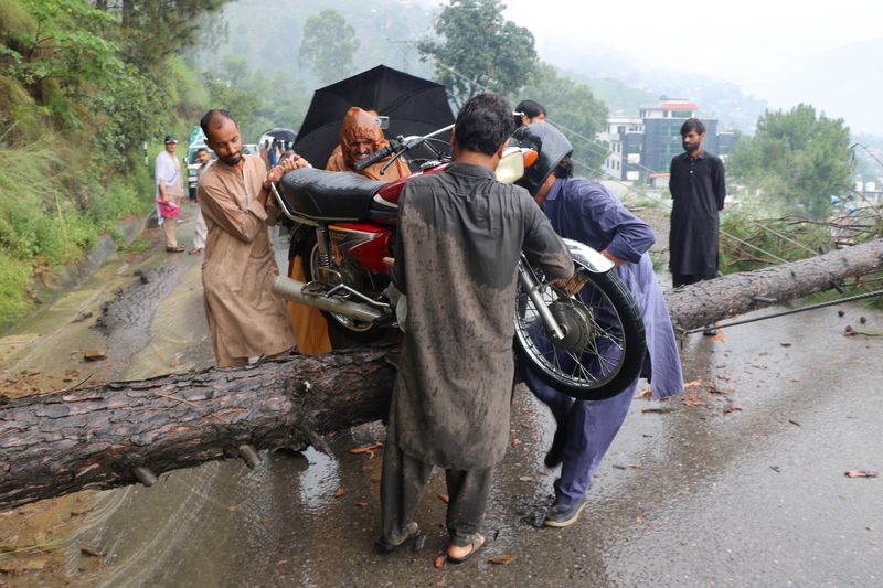 &copy; Reuters. Estrada interdidata por queda de árvore em Muzaffarabad, no Paquistãon 15/8/2025    REUTERS/Amiruddin Mughal