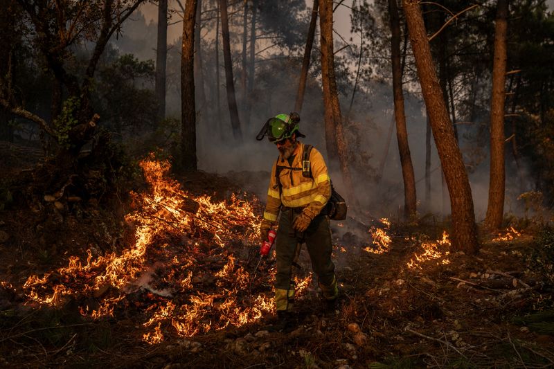 Pilgrimage route cut as Spanish wildfires spread to Picos de Europa mountains