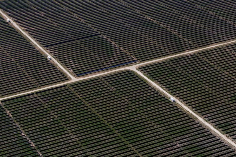 Solar may account for half of new US electricity added this year, EIA says