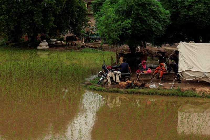 Punjab floods washed away thousands of villages and farms; now the devastation threatens Pakistan’s economy