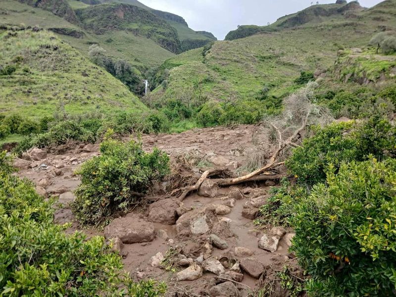Plea for help after landslide wipes out Sudan village, killing 1,000
