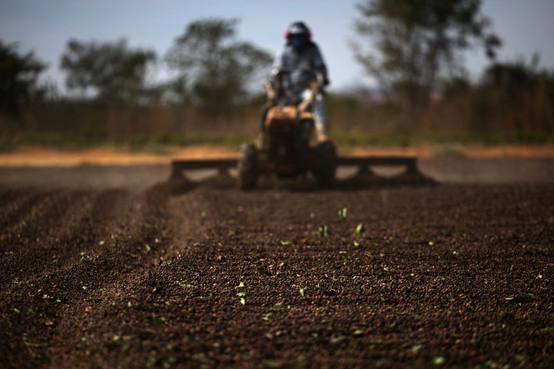 Coffee roasters hike prices in Brazil as raw bean costs surge