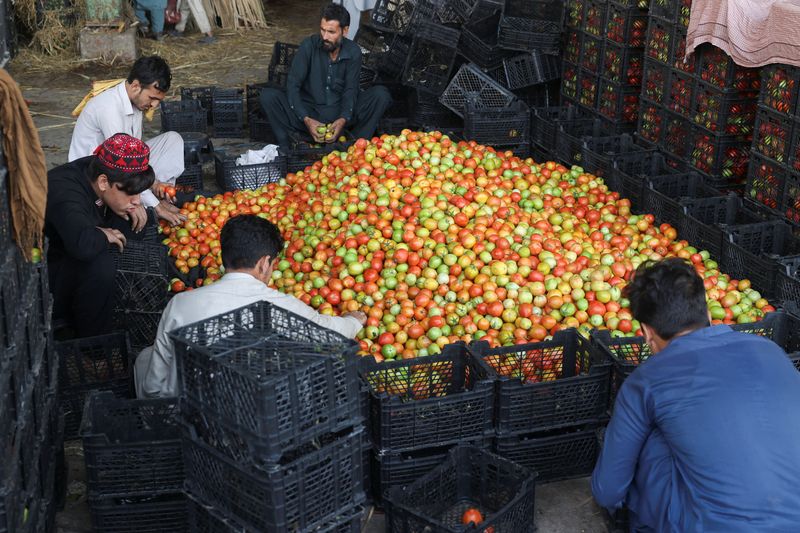 Pakistan-Afghanistan border closures push up prices of essentials such as tomatoes