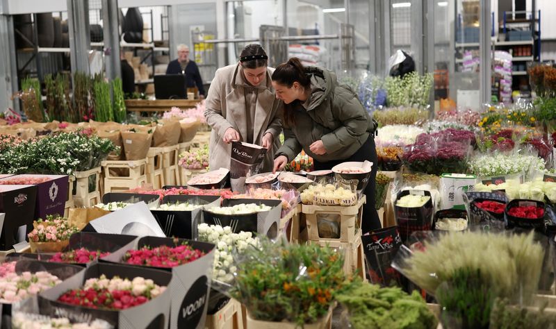 UK economy shows signs of resilience ahead of expected tax-hike budget