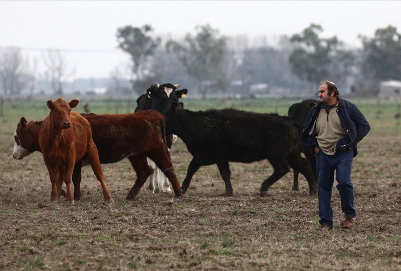 Argentina’s farmers give Milei vote of confidence before midterms