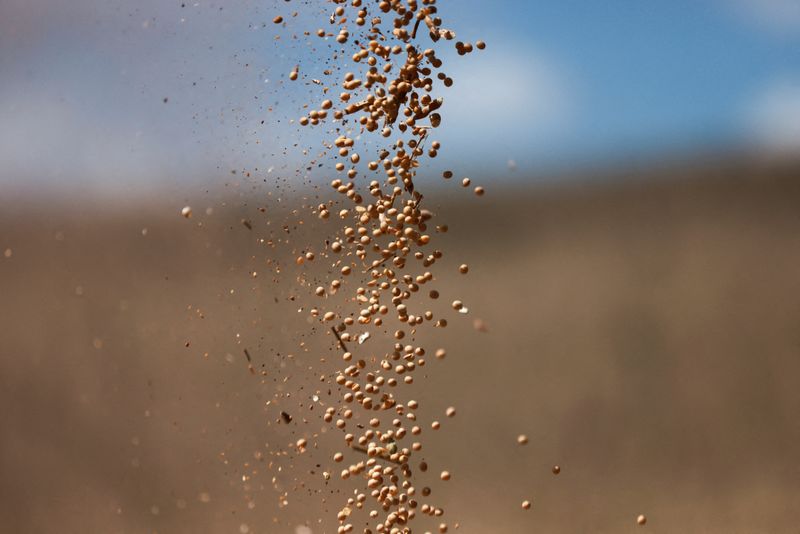 Adiantado, plantio de soja em Mato Grosso supera 60% da área projetada, diz Imea