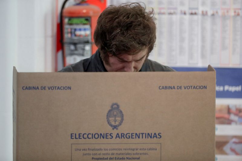 Milei's party wins victory in Argentina midterm vote, media reports