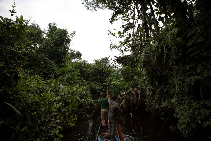 Exclusive-France leads $2.5 billion initiative to safeguard Congo’s forest