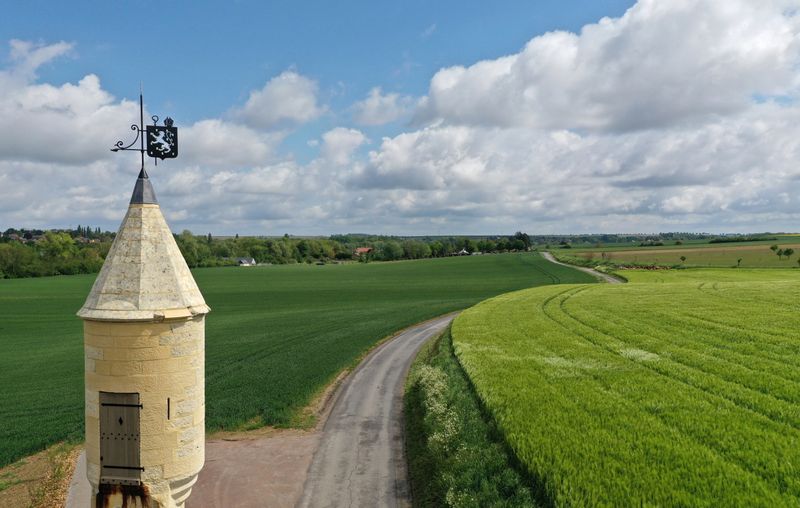 © Reuters. An aerial view shows the Echauguette tower (a watch tower from the fifteenth century) and a green wheat field in Les Rues-Des-Vignes, France, May 26, 2021. Picture taken with a drone. REUTERS/Pascal Rossignol