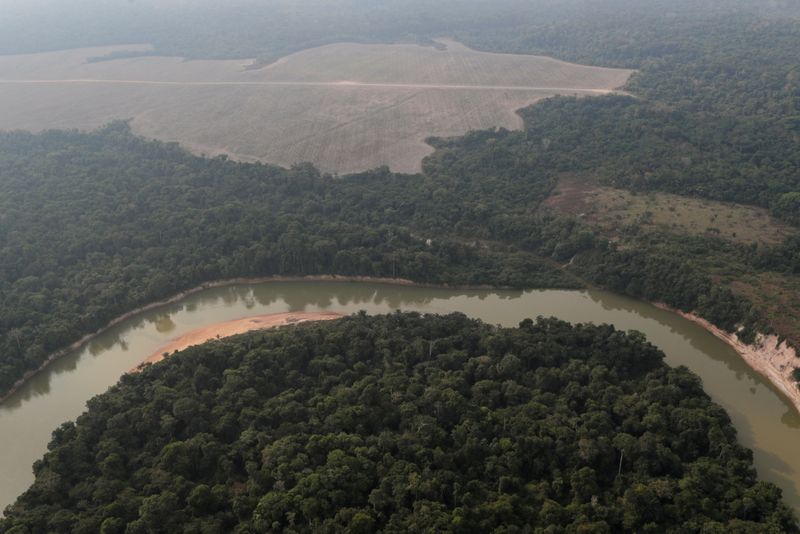 &copy; Reuters. FILE PHOTO: An aerial view shows a river and a deforested plot of the Amazon near Porto Velho, Rondonia State, Brazil August 14, 2020. REUTERS/Ueslei Marcelino/File Photo/File Photo