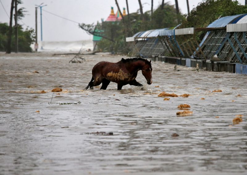 &copy; Reuters. A horse crosses a water-logged road after rains ahead of Cyclone Yaas at Digha in Purba Medinipur district in the eastern state of West Bengal, India, May 26, 2021. REUTERS/Rupak De Chowdhuri     