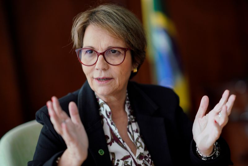 &copy; Reuters. Ministra da Agricultura, Tereza Cristina, classificou reconhecimento de áreas livres de aftosa sem vacinação como "um marco" para a pecuária
REUTERS/Ueslei Marcelino