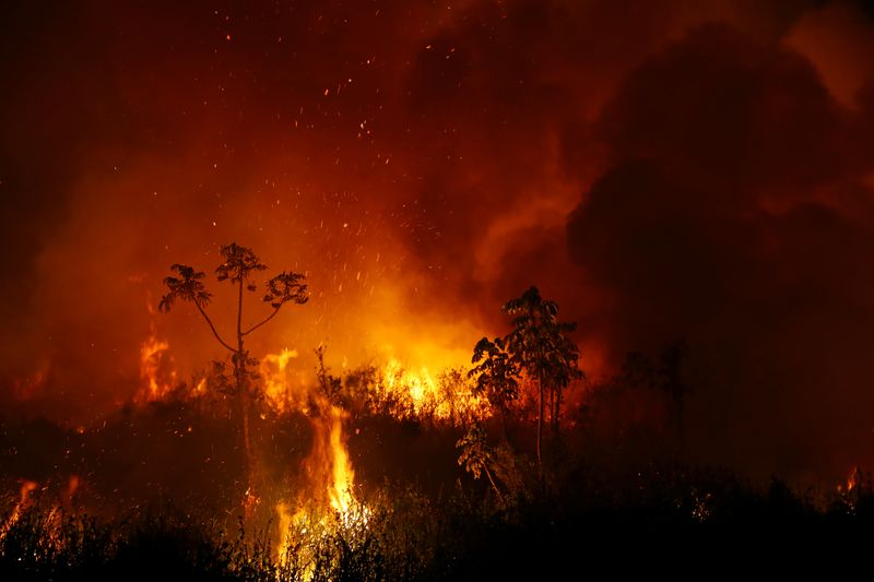 &copy; Reuters. Incêndio no Pantanal em Poconé, no Mato Grosso
03/09/2021
REUTERS/Amanda Perobelli