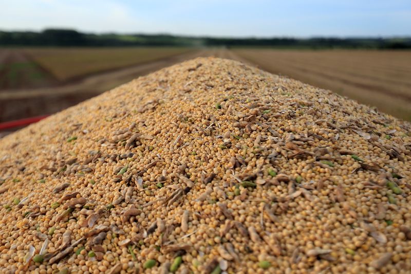 &copy; Reuters. Soybeans are pictured on a truck after being harvested at a farm in Caaguazu, Paraguay February 17, 2020. Picture taken February 17, 2020. REUTERS/Jorge Adorno